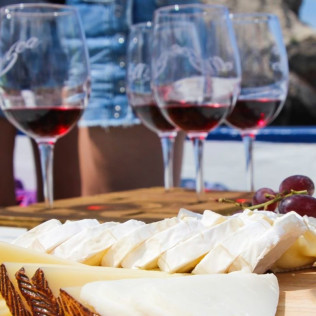 Salida Privada en Barco con Cata de Vinos (Palamós, Girona)