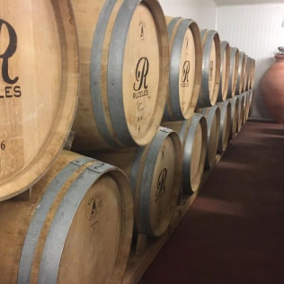 Barricas y Sabores: Visita a las Instalaciones, Cata de Vino y Picoteo en Bodegas Rudeles (Peñalba de San Esteban, Soria)