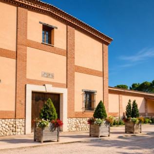 Visita a Bodega Barco Las Culebras y Cata de Vinos (Pesquera de Duero, Valladolid)