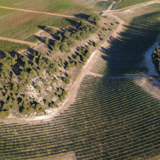 Visita a Bodega Barco Las Culebras y Cata de Vinos (Pesquera de Duero, Valladolid)