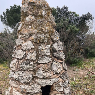 Visita a Bodega Barco Las Culebras y Cata de Vinos (Pesquera de Duero, Valladolid)