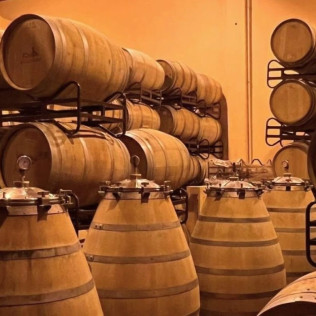 Visita a Bodega Barco Las Culebras y Cata de Vinos (Pesquera de Duero, Valladolid)