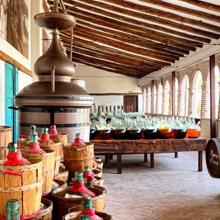 Visita Guiada con Cata de Vermuts, Tapas y Comida para dos en Gastro Botànic & Co. - Casa Padró (Bràfim, Tarragona)
