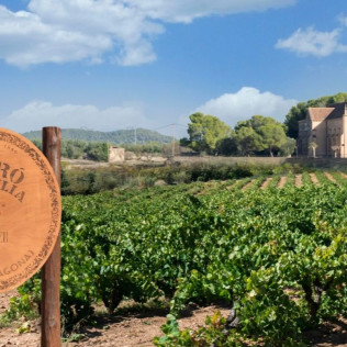 Visita Guiada y Cata de Vermuts en Casa Vermouth Padró (Bràfim, Tarragona)