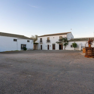 Cata de Vinos con Aperitivo en Albariza de la Torre (Jerez de la Frontera, Cádiz)