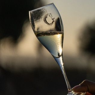 Cata de Vinos con Aperitivo en Albariza de la Torre (Jerez de la Frontera, Cádiz)