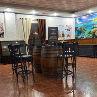 Cata de Vinos Submarinos en Tierra para dos en Bodegas Undersea (Murcia)