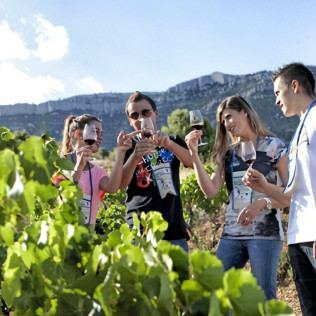 Visita a Viñedos en 4x4, Bodega, Cata de Vinos y Aperitivo para dos en Cellers Baronia del Montsant (Tarragona)