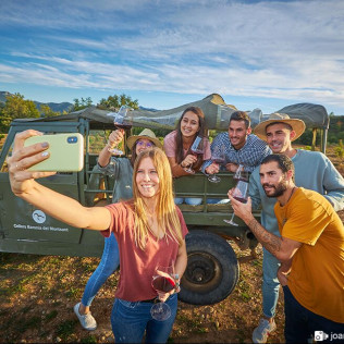 Visita a Viñedos en 4x4, Bodega, Cata de Vinos y Aperitivo para dos en Cellers Baronia del Montsant (Tarragona)