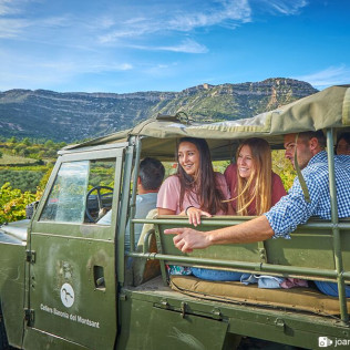 Visita a Viñedos en 4x4, Bodega, Cata de Vinos y Aperitivo para dos en Cellers Baronia del Montsant (Tarragona)