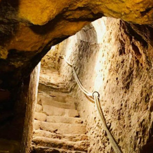 Visita Teatralizada a Bodega, Degustación de Ibéricos y Cata Maridaje (Burgos)
