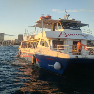 Paseo en Catamarán hacia Cova Tallada y Opción a Parada de Baño (Denia, Alicante)