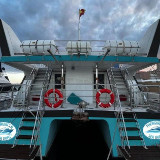 Avistamiento de Delfines en Catamarán por la Costa del Sol (Fuengirola, Málaga) 