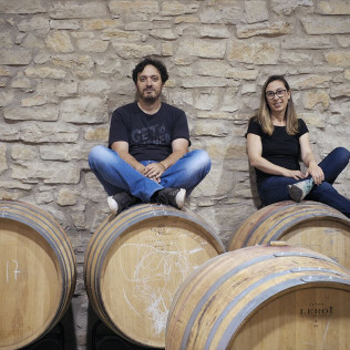 Visita a Bodegas Caudalía con Cata de Vinos con Aperitivo y Aceite de Oliva Virgen Extra para dos (Lerga, Navarra)