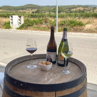 Cata de Cavas y Vinos con Aperitivo y Maridaje de Quesos opcional para dos en Papet del Mas (Font-Rubí, Barcelona)