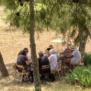 Visita a Bodega con Cata de Cavas y Degustación de Quesos en Vila Morgades (Castellví de la Marca, Barcelona)