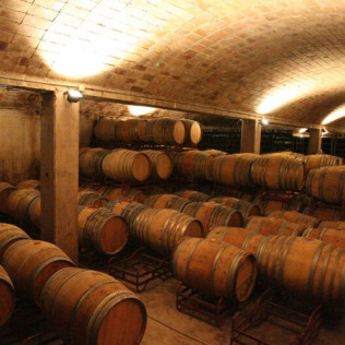 Visita a Bodega Cavas Canals & Munné y Cata de Vinos con Aperitivo (Sant Sadurní d'Anoia, Barcelona) 