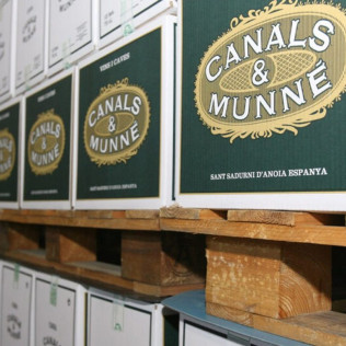 Visita a Bodega Cavas Canals & Munné y Cata de Vinos con Aperitivo (Sant Sadurní d'Anoia, Barcelona) 