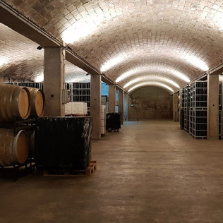 Visita a Bodega Cavas Canals & Munné y Cata de Vinos con Aperitivo (Sant Sadurní d'Anoia, Barcelona) 