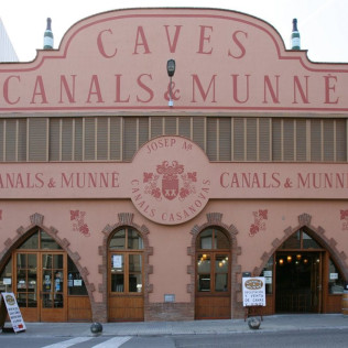 Visita a Bodega Cavas Canals & Munné y Cata de Vinos con Aperitivo (Sant Sadurní d'Anoia, Barcelona) 