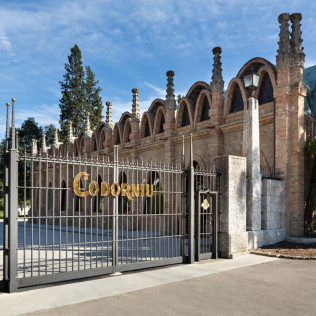 Visita a las Cavas Codorníu con degustación de 2 cavas de alta gama (Sant Sadurní d'Anoia, Barcelona)
