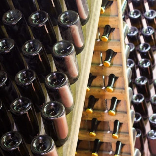 Tradición, Territorio Penedès-Garraf: Ruta, Visita Guiada, Cata de Vino y Cava y Aperitivo en Caves Cuscó Berga (Les Gunyoles, Barcelona)