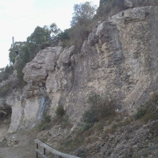 Tradición, Territorio Penedès-Garraf: Ruta, Visita Guiada, Cata de Vino y Cava y Aperitivo en Caves Cuscó Berga (Les Gunyoles, Barcelona)