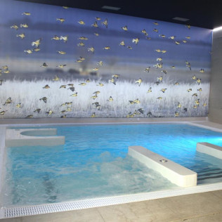 Cena Romántica y Spa para dos en Posada Real de los Condestables 4* (Zamora)