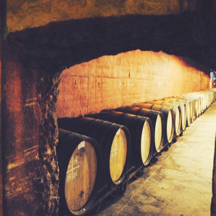 Visita a Celler Parató con Cata de Vinos para dos (El Pla del Penedès, Barcelona)