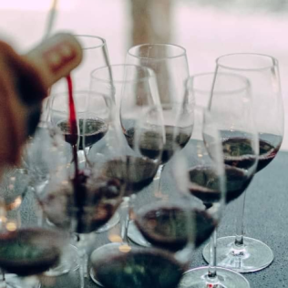 Visita Guiada al Celler Brugarol con Degustación de Vinos, Aceites y Productos B para dos en Finca Bell-Lloc (Palamós, Girona)