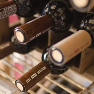 Visita Guiada al Celler Brugarol con Degustación de Vinos, Aceites y Productos B para dos en Finca Bell-Lloc (Palamós, Girona)