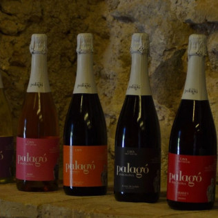 Taller "Crea tu Cava": Visita, Cata y Taller de Degüelle para dos en Artcava - Celler Can Batlle (Avinyó Nou, Barcelona)