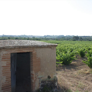 Visita a Cellers Blanch con Cata de Vinos para dos (Puigpelat, Tarragona)