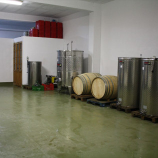 Visita a Cellers Blanch con Cata de Vinos para dos (Puigpelat, Tarragona)
