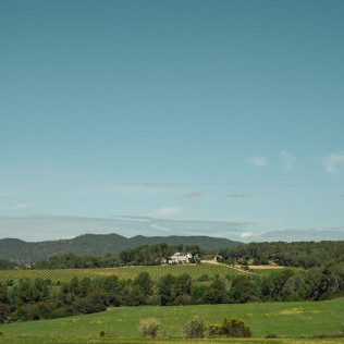 Visita a Bodega y Cata de Vinos en Celler Clot de les Soleres (Piera, Barcelona)