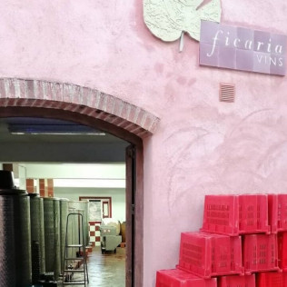 Visita al Celler Ficaria Vins con Cata de 3 Vinos para dos (La Figuera, Tarragona)