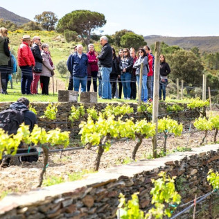 Escapada a Mas Perafita con Visita a Bodega y Cata en Celler Martín Faixó (Girona)