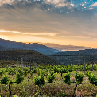 Escapada a Mas Perafita con Visita a Bodega y Cata en Celler Martín Faixó (Girona)