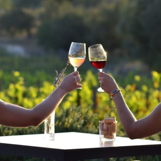 Visita a Celler Mas Geli con Cata de Vinos para dos (Pals, Girona)