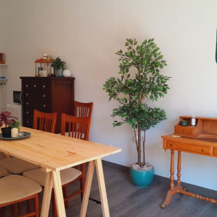 Taller de Cerámica Nivel Inicial con Picoteo (Málaga)