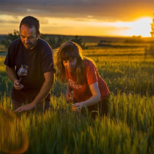 Visita a la Granja y a la Fábrica con Cata de Cerveza y Comida o Cena en Lo Vilot Farm Brewery (Almacelles, Lleida)
