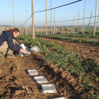 Visita a la Granja y a la Fábrica con Cata de Cerveza y Comida o Cena en Lo Vilot Farm Brewery (Almacelles, Lleida)