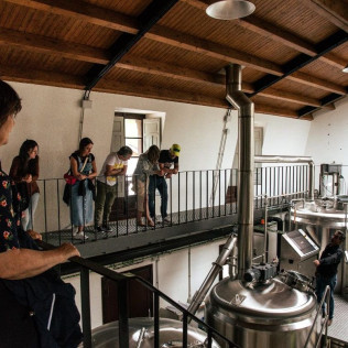 Experiencia La Victoria: Visita, Cata y Maridaje de Quesos en ORDUM Cerveza de Asturias (Asturias)