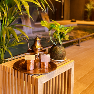 Circuito Spa en Cobre 29 en Hotel Meliá Valencia 4* (Valencia)
