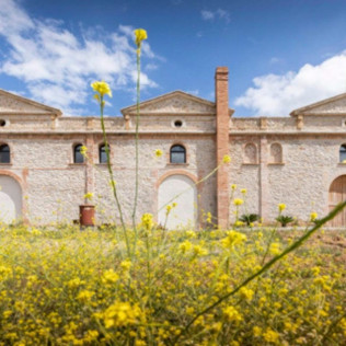 Menú y Visita a Museo y Centro de Interpretación del Vino en Bodegas Besalduch Valls & Bellmunt (Sant Mateu, Castellón)