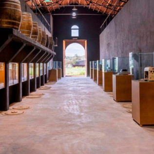 Menú y Visita a Museo y Centro de Interpretación del Vino en Bodegas Besalduch Valls & Bellmunt (Sant Mateu, Castellón)