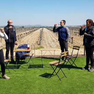 Visita Carredueñas a Concejo Bodegas con Cata de Vinos y Tapas (Valoria la Buena, Valladolid)