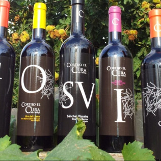 Visita a Bodega con Cata y Aperitivo de la Alpujarra en la Finca Ecológica del Cortijo El Cura Eco-Bodega (Laujar de Andarax, Almería)