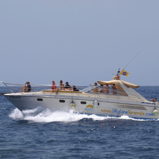 Crucero Privado con Avistamiento de Fauna Marina, Snorkel y Aperitivo para dos (Puerto Colón, Santa Cruz de Tenerife)
