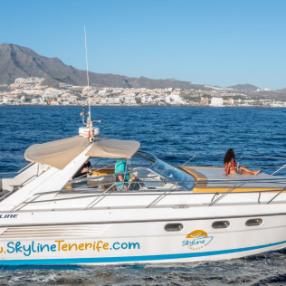 Crucero con Avistamiento de Fauna Marina, Snorkel y Aperitivo (Puerto Colón, Santa Cruz de Tenerife)